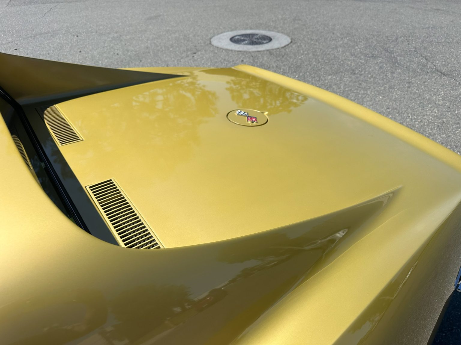 BaT 1969 Glod L88 Corvette 6630