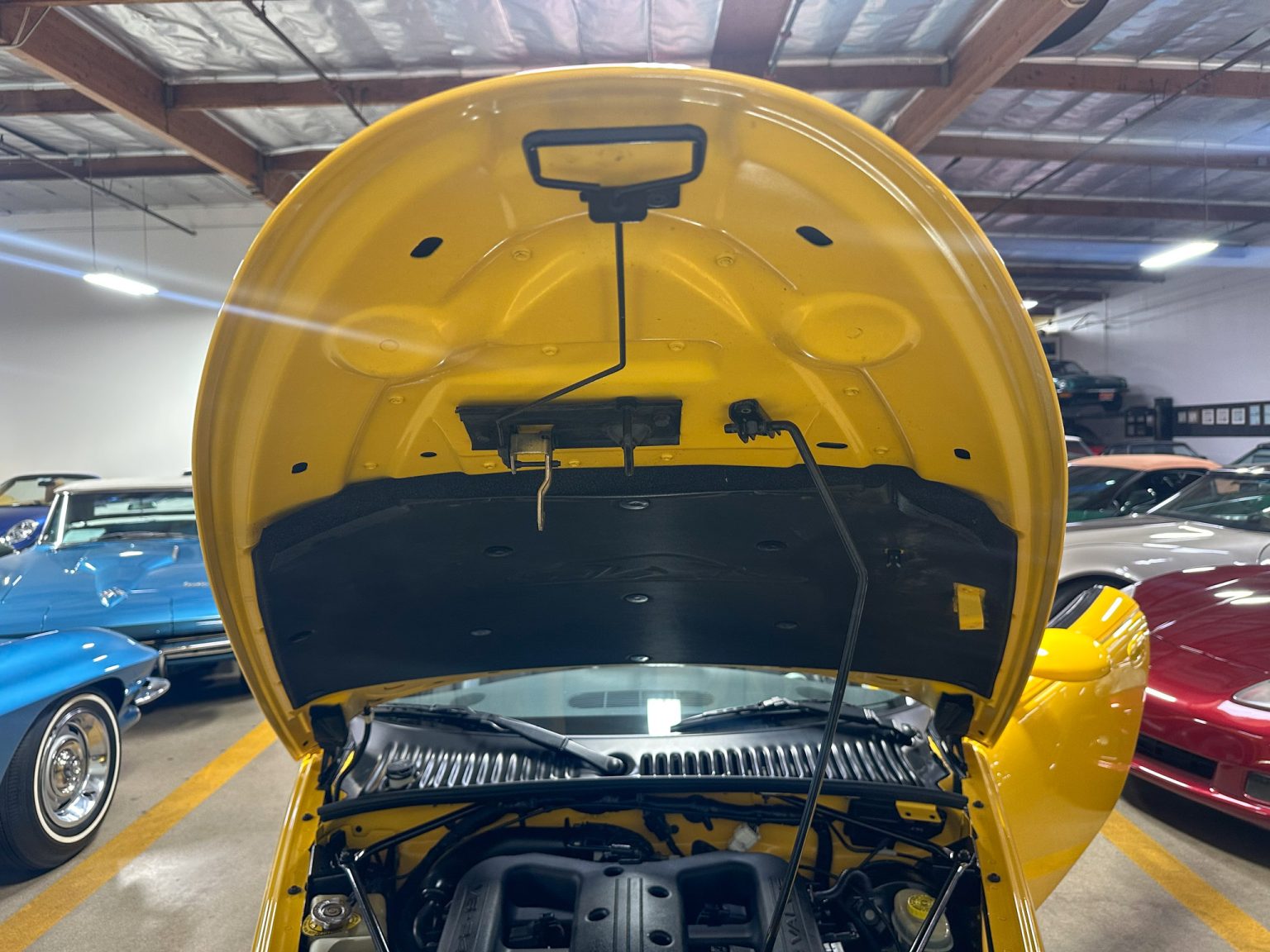 BaT 1999 Yellow Prowler-8668