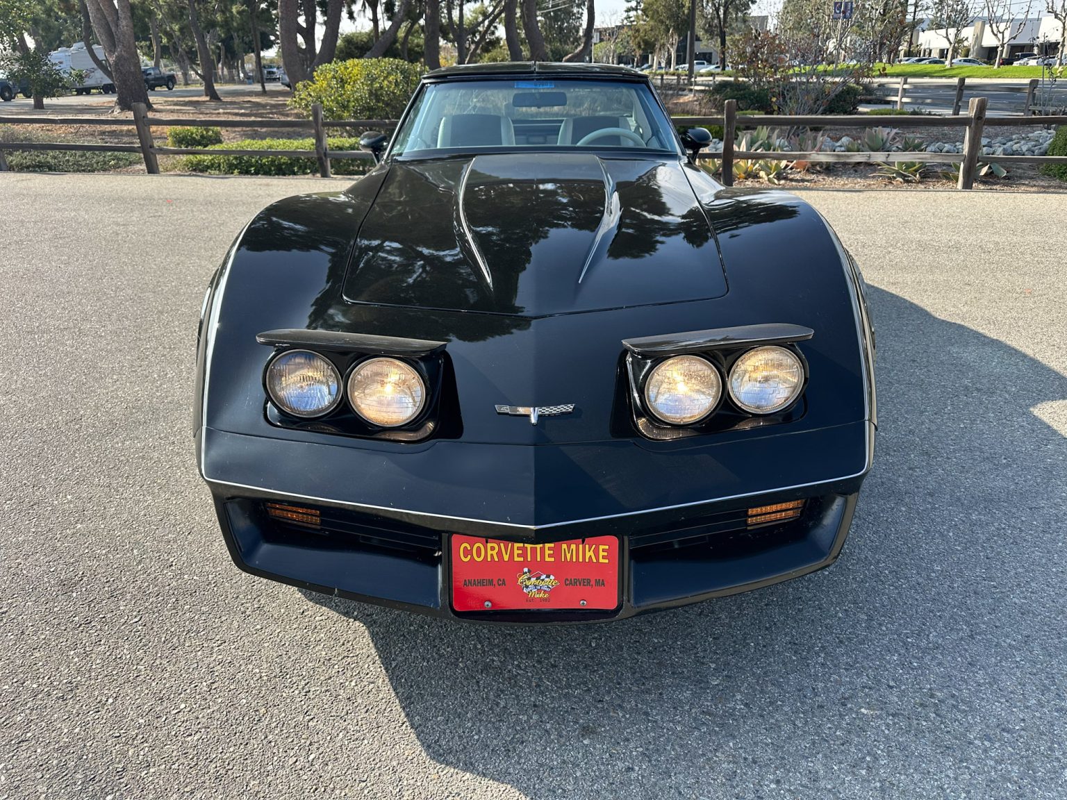 BaT 1980 Black Corvette 1669